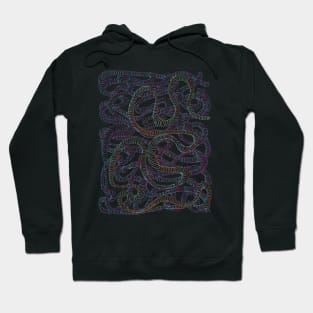 Rainbow Worms Confetti Hoodie